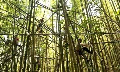 Big Bambu -    